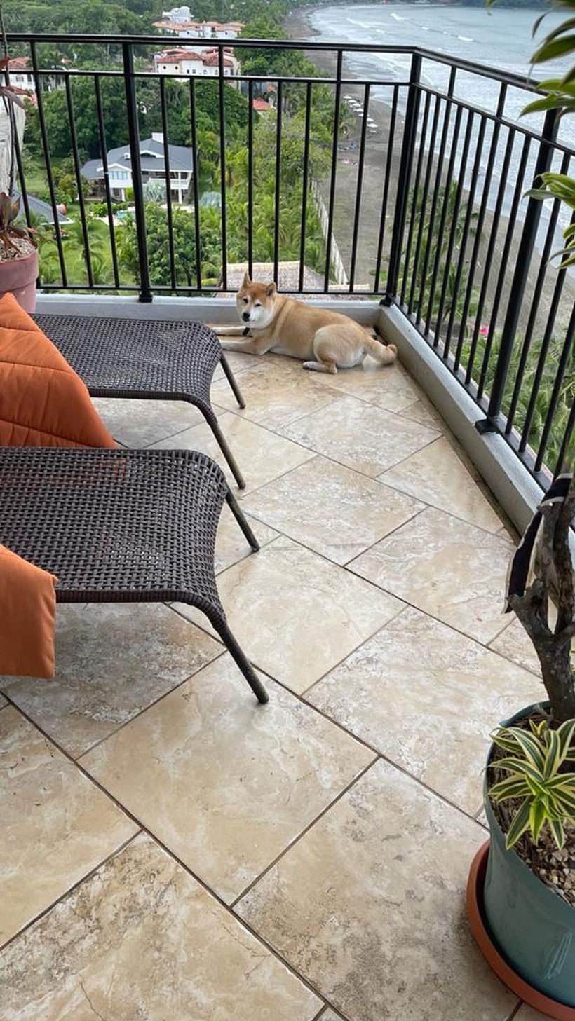 Crâmpeie de viață pe malul Oceanului Pacific 18865236