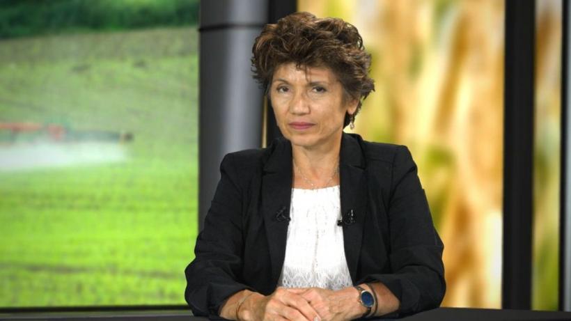 România se revoltă împotriva reducerii de-a valma a consumului de pesticide în agricultură 18865258