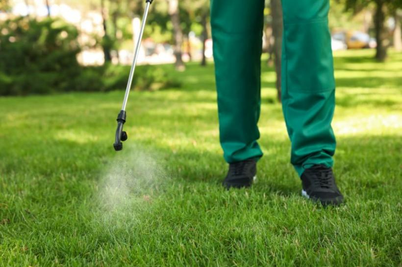 Pesticidele, interzise în parcuri, curțile școlilor și pe terenurile de sport