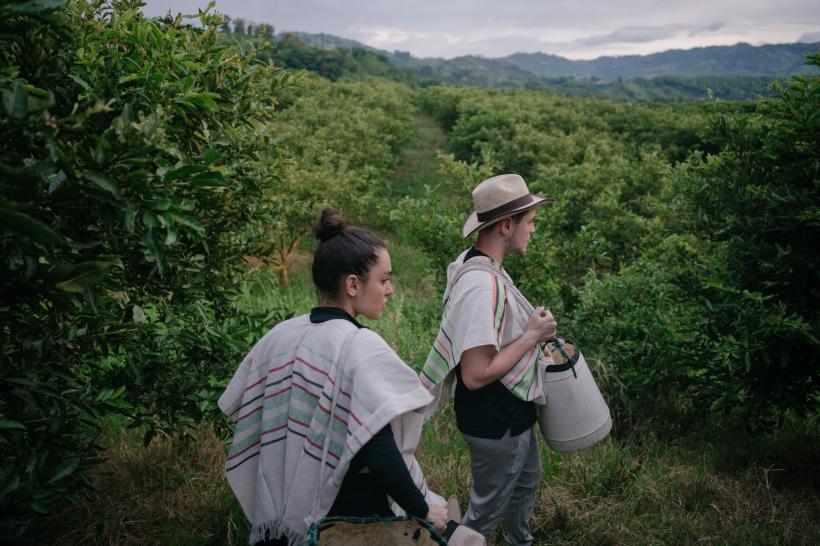 America Express, din nou lider de piață. Laura Giurcanu și Sânziana Negru au câștigat prima imunitate a sezonului. Miza acestei seri: a doua imunitate, după o probă care macină nervii concurenților 18866036