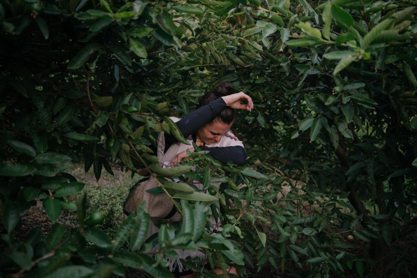 America Express, din nou lider de piață. Laura Giurcanu și Sânziana Negru au câștigat prima imunitate a sezonului. Miza acestei seri: a doua imunitate, după o probă care macină nervii concurenților 18866037