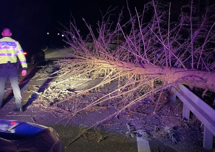 Mai mulți copaci au căzut pe un drum național din județul Vrancea