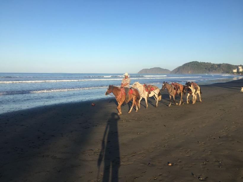 O oază de liniște, departe de războaie și conflicte 18866465