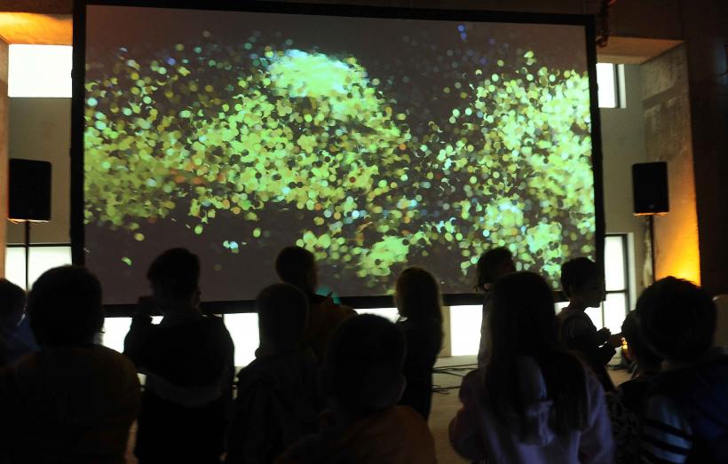 RADAR – cel mai amplu festival de new media art din România redeschide magazinul „București”! 18866698