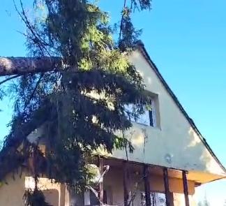 Vântul puternic face ravagii la Cluj. Un stâlp de electricitate și un copac au căzut peste case
