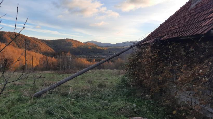 Vântul puternic face ravagii la Cluj. Un stâlp de electricitate și un copac au căzut peste case 18866760