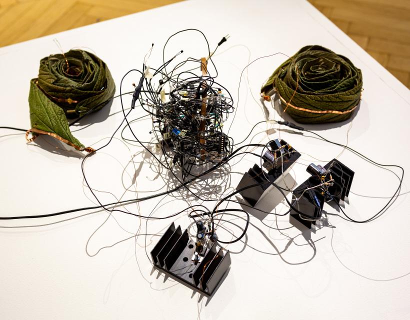 Expoziție Tech Rider's Dilemma: lucrări inedite la Rezidența9 din 1 noiembrie 18866545