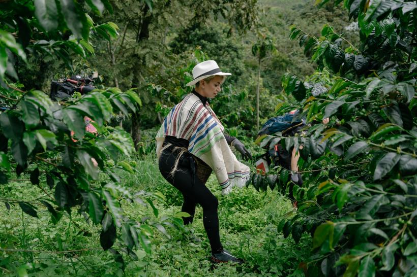 America Express, lider de audiență. Diseară, echipele așteaptă cu încordare dezvăluirea clasamentului: Irina Fodor acordă prima imunitate a etapei a doua 18867051