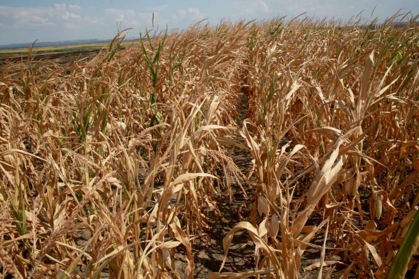 Banca Mondială: inundațiile și seceta, cele mai mari riscuri climatice la care este expusă țara noastră 18866951