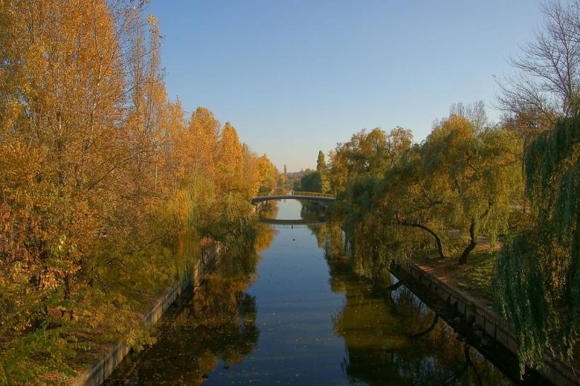 Bani, bani, bani: cum s-a deschis în limba română ochiu’ dracului 18866917