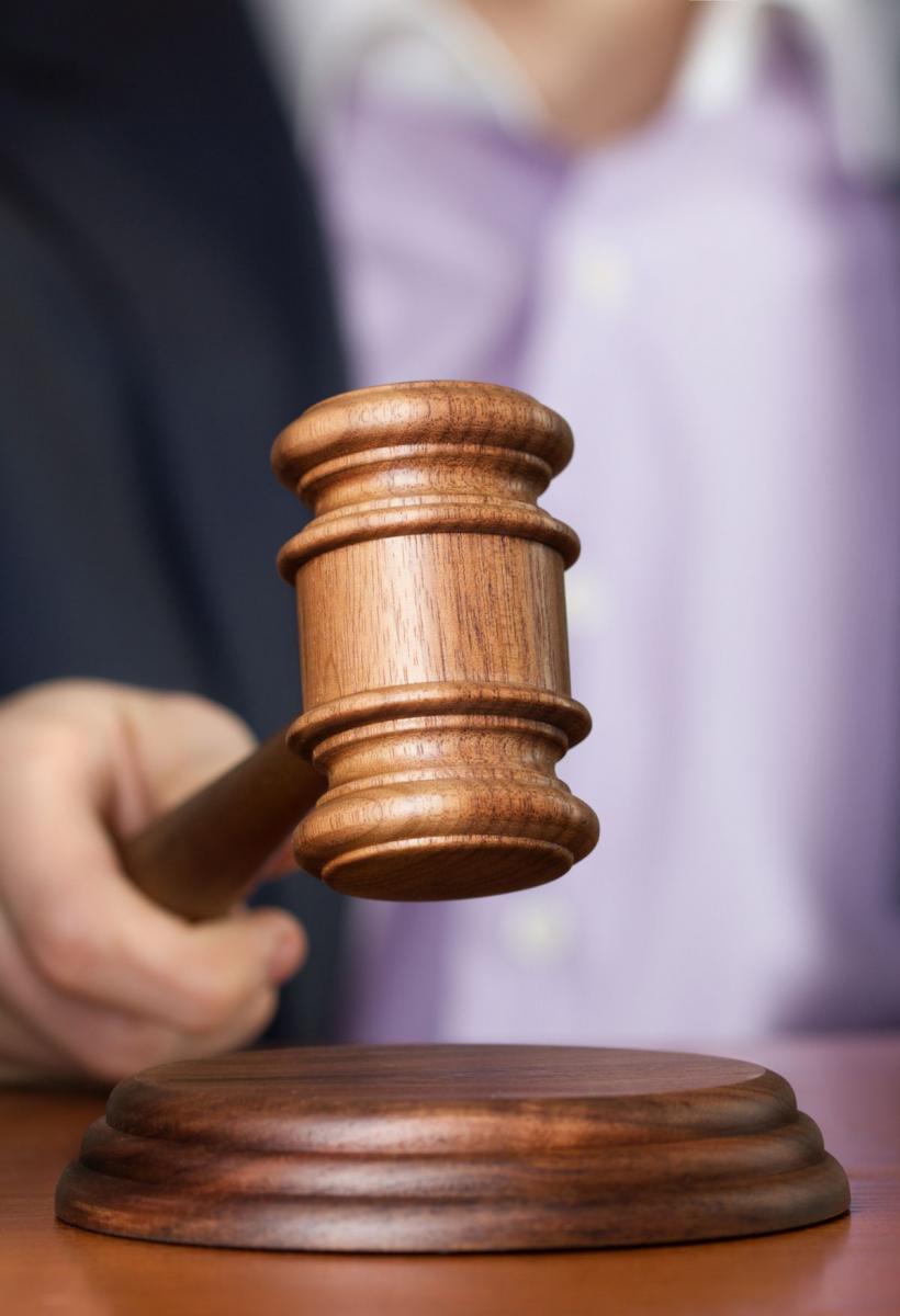 Înalta Curte îi pregătește un cadou de onomastică Elenei Gabriela Udrea: sentința finală în dosarul fraudelor de la prezidențialele din 2009 18866937