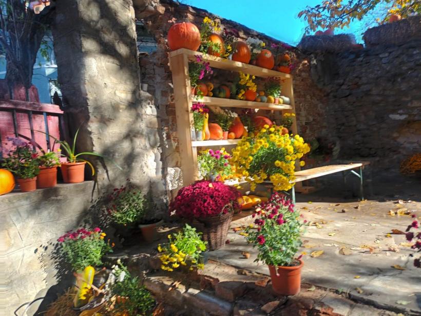 Vals în ogradă, la Pietroșița de Dâmbovița. Sărbătoarea Dovleacului, în stil autentic românesc 18866941