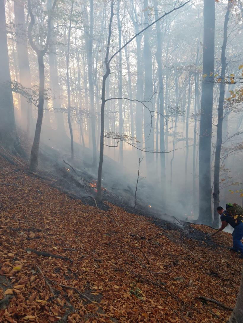 Incendiu puternic pe Valea Doftanei în zona Barajului Paltinu. Pompierii se luptă să stingă 12.000 de mp de pădure. 18867347