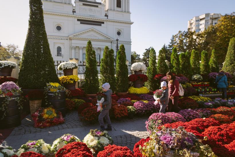 O nouă veste bună pentru România! Iași, inclus în Rețeaua UNESCO de orașe creative 18867398