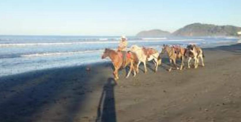 Furtunile din Oceanul Pacific 18867871