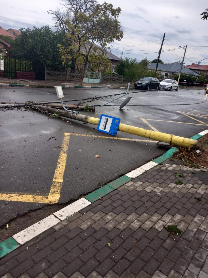 Furtuna face ravagii în județul Constanța. Copaci prăbușiți, stâlpi de electricitate căzuți pe șosea și mașini avariate 18868130