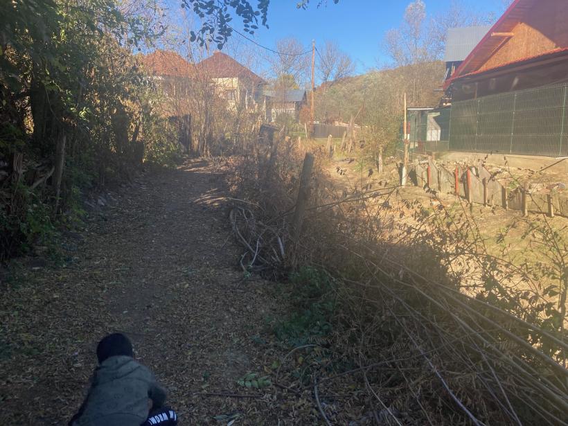 Mica răscoală din Argeș: Noi vrem podeț! 18868247