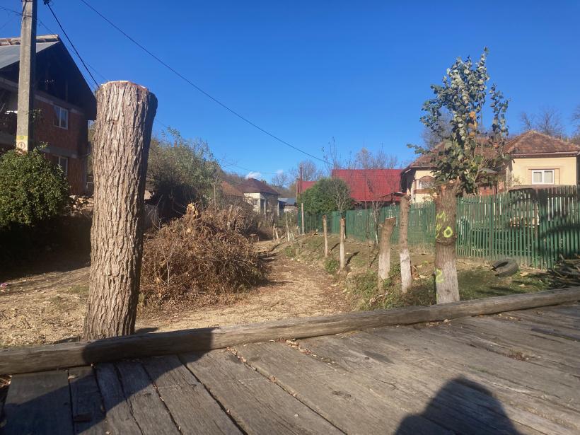 Mica răscoală din Argeș: Noi vrem podeț! 18868251