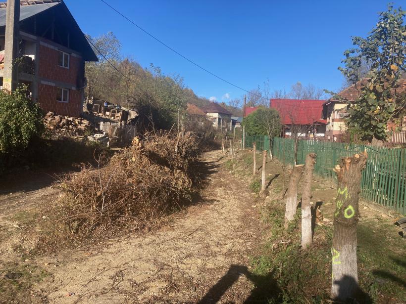 Mica răscoală din Argeș: Noi vrem podeț! 18868252