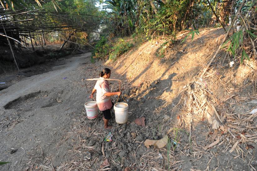 Anomalii extreme de temperatură: Anul 2023 este "aproape sigur" că va fi cel mai cald din ultimii 125.000 de ani 18868718