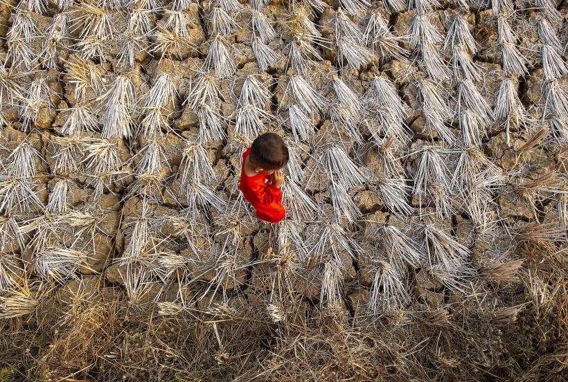 Anomalii extreme de temperatură: Anul 2023 este "aproape sigur" că va fi cel mai cald din ultimii 125.000 de ani 18868719