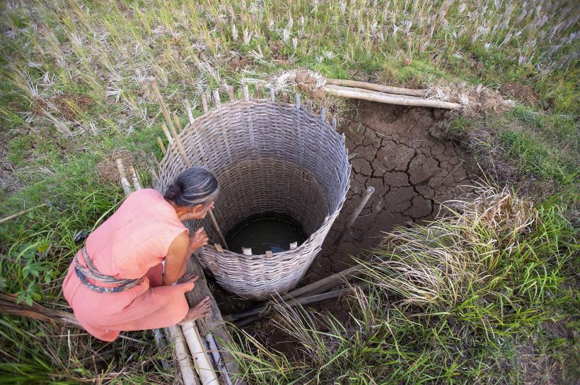 Criza orezului, cea mai mare din ultimii 20 de ani 18868722