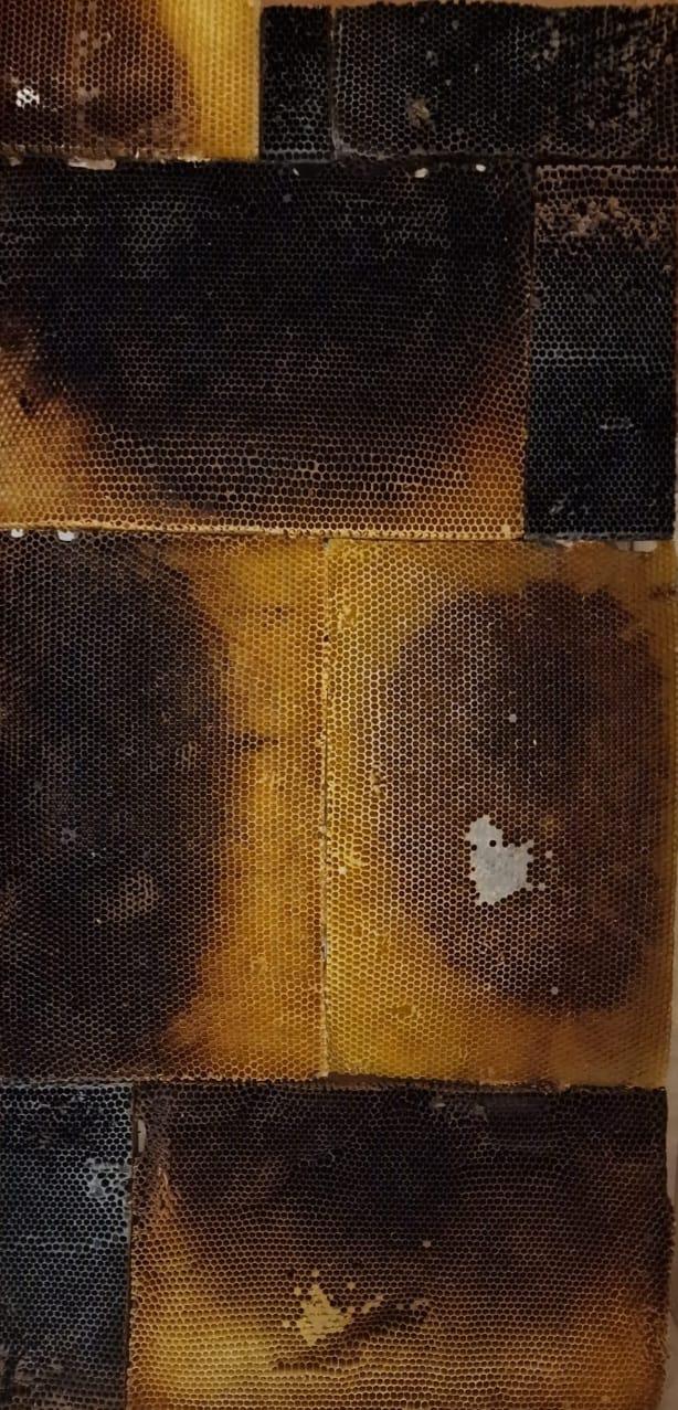 Pictorul Florin Olari vernisează expoziţia “Esenţe” pe 15 noiembrie la Turnul Croitorilor din Cluj-Napoca 18868569