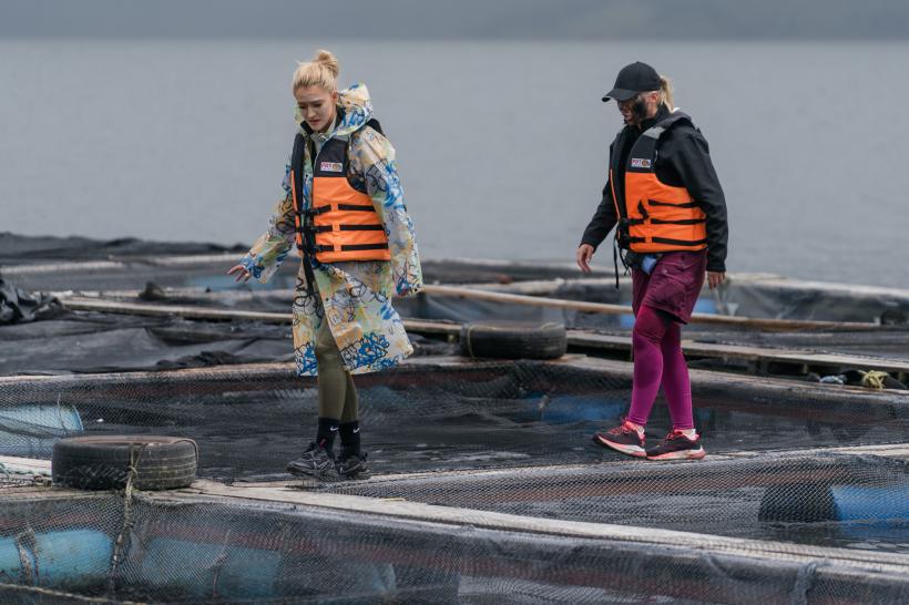 America Express, din nou lider de piață. Edward Sanda și Cleopatra Stratan au părăsit competiția după cursa pentru ultima șansă 18869014