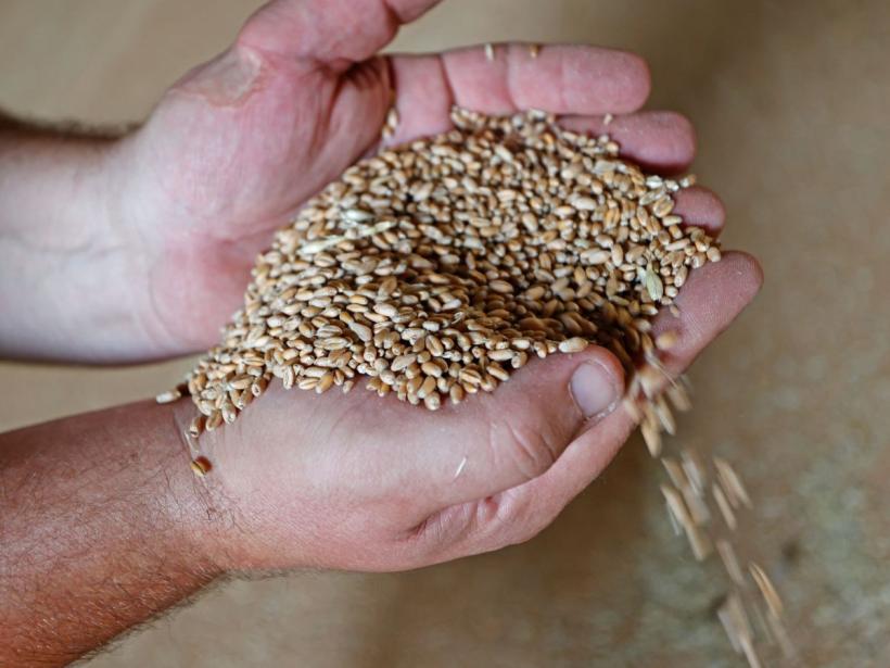 Fermierii români, lăsați fără afaceri de câte ori e România în topul producției de grâu 18869575