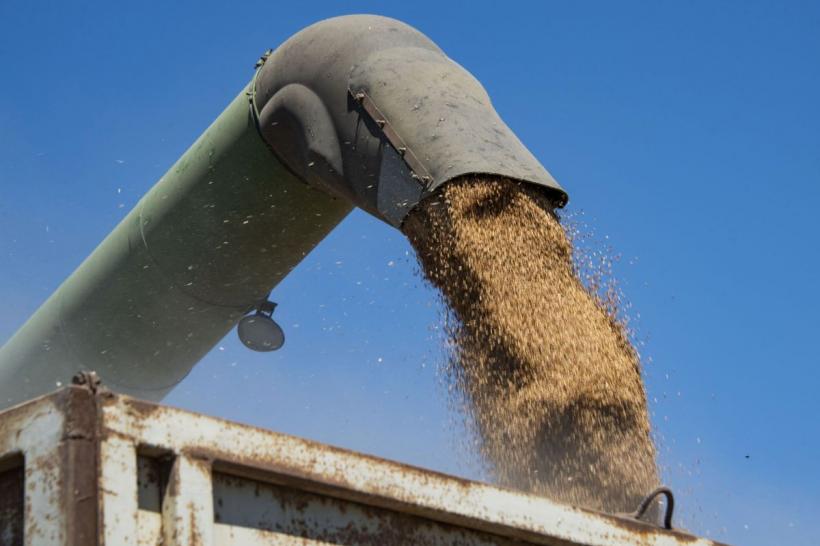 Fermierii români, lăsați fără afaceri de câte ori e România în topul producției de grâu 18869576