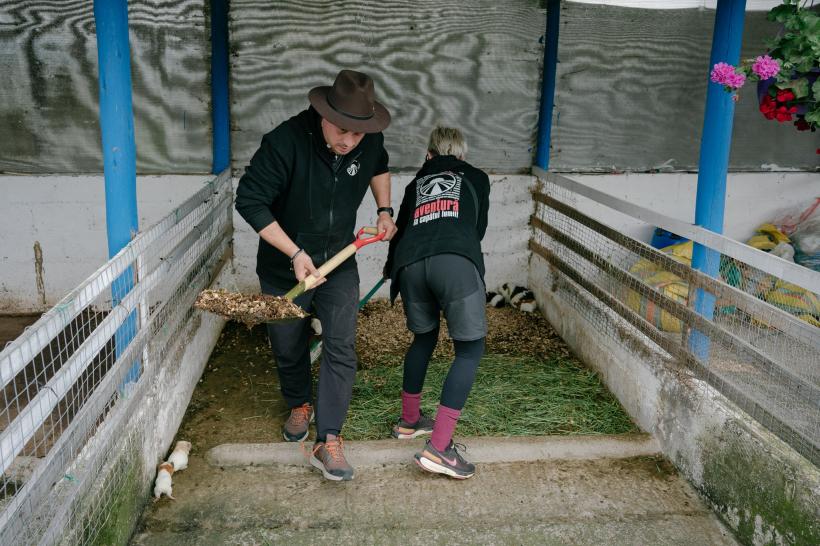 America Express, lider de audiență. Romică și Cătălin Țociu au câștigat imunitatea mică.  Show plin de culoare pe străzile orașului Ambato, la cursa pentru ultima șansă 18869878