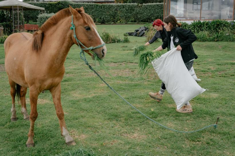 America Express, lider de audiență. Romică și Cătălin Țociu au câștigat imunitatea mică.  Show plin de culoare pe străzile orașului Ambato, la cursa pentru ultima șansă 18869879