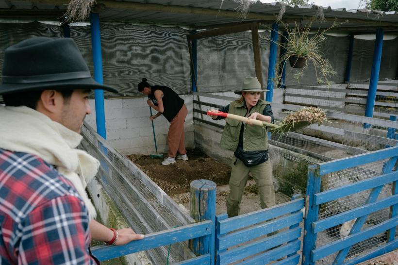 America Express, lider de audiență. Romică și Cătălin Țociu au câștigat imunitatea mică.  Show plin de culoare pe străzile orașului Ambato, la cursa pentru ultima șansă 18869880