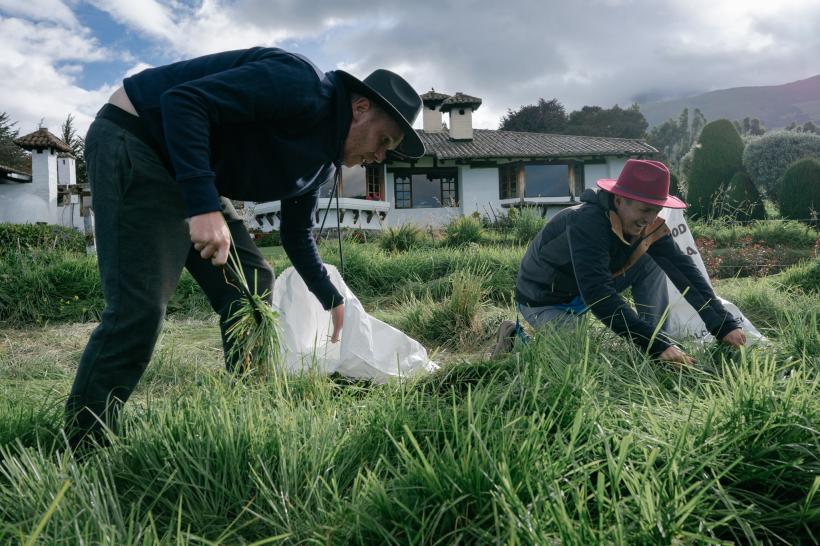 America Express, lider de audiență. Romică și Cătălin Țociu au câștigat imunitatea mică.  Show plin de culoare pe străzile orașului Ambato, la cursa pentru ultima șansă 18869881