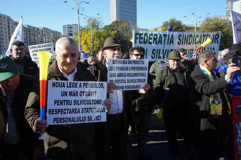 Sindicaliștii Meridian protestează în Piața Victoriei împotriva noii legi a pensiilor și a măsurilor fiscal-bugetare 18870121