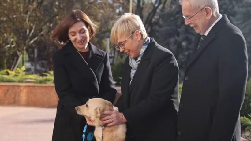 Câinele Maiei Sandu l-a mușcat pe președintele austriac Alexander Van der Bellen