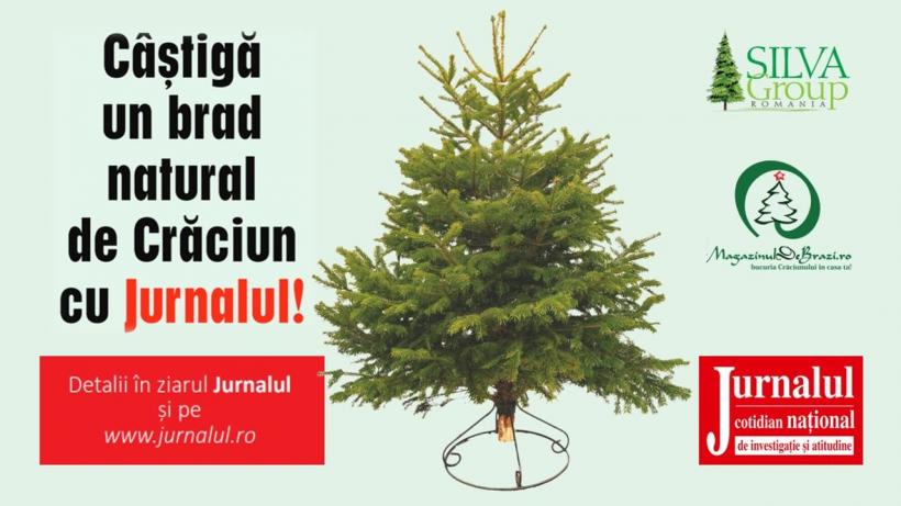 Participă la concursul “Câștigă un brad natural de Crăciun cu Jurnalul!”