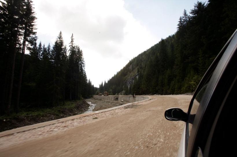 Pădurile României vor fi monitorizate prin satelit. A fost desemnat câștigătorul contractului 18871142