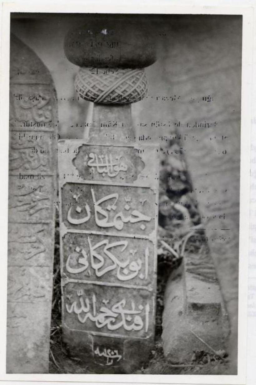 Ce înseamnă, de fapt, expresia „Cât ai zice pește” 18871240