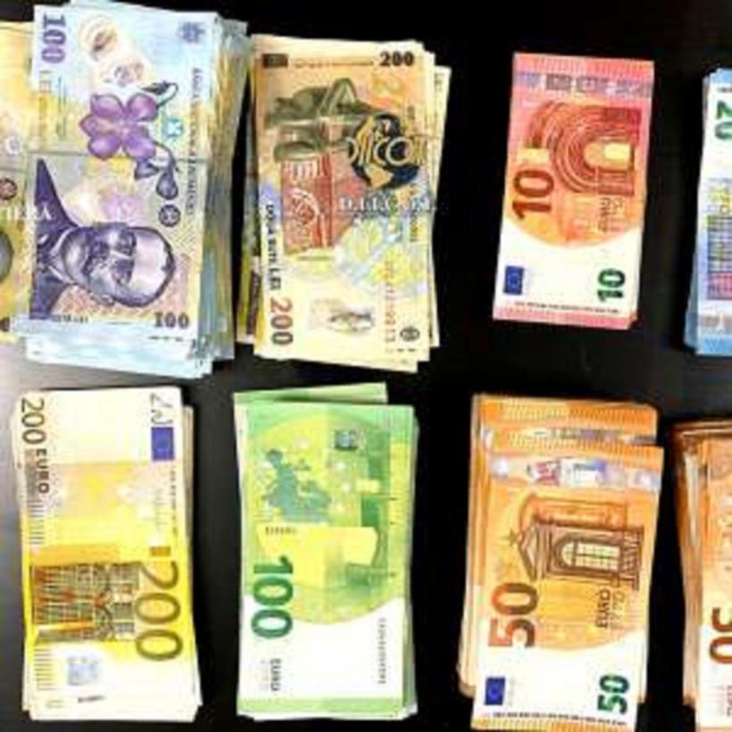 Reţea de trafic de migranţi de origine vietnameză, destructurată cu sprijinul EUROPOL 18871367