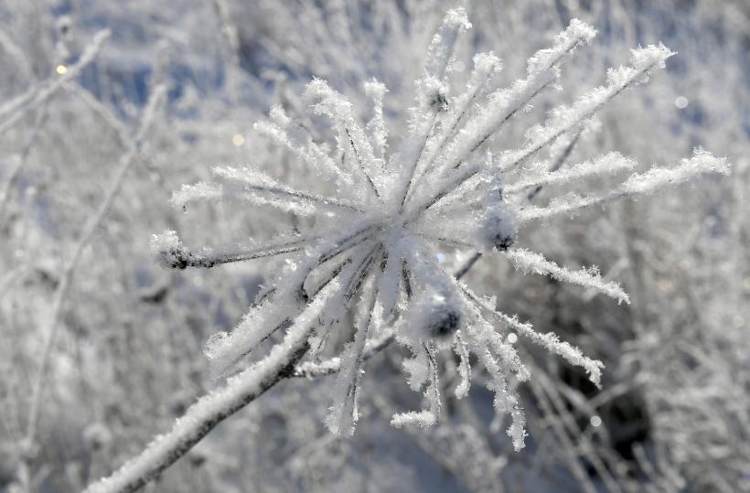 Un ciclon mediteranean de vreme extremă lovește România în weekend. Iată județele unde vin ninsorile 18871360