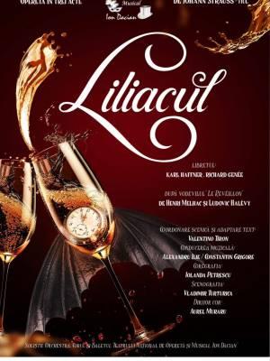 Programul Teatrului Național de Operetă și Musical „ION DACIAN” - DECEMBRIE 2023 18871328