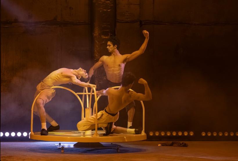 SF (SUPER-FRAGIL) Spectacol de teatru fizic pentru adolescenți semnat Andrea Gavriliu, la Teatrul Excelsior 18871761