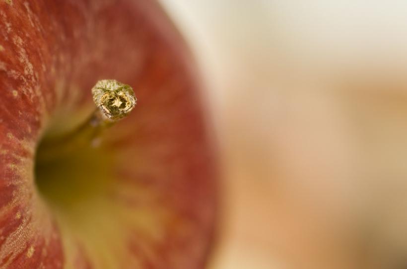 Terapie de întinerire cu celule stem din mere