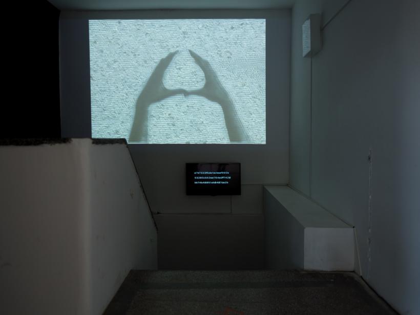 Viitorul așa cum și-l imaginează tinerii, în expoziția THIS IS NOT MY YOUTHOPIA, între 5 – 15 decembrie la Timișoara 18871828