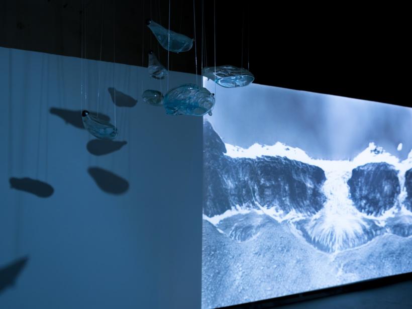 Viitorul așa cum și-l imaginează tinerii, în expoziția THIS IS NOT MY YOUTHOPIA, între 5 – 15 decembrie la Timișoara 18871829