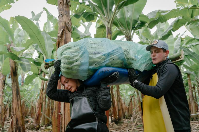 Ada și Tony, pe primul loc la cursa pentru imunitate, în ediția de ieri America Express. Mâine, de la 20:30, urmează un careu tensionat și cursa pentru ultima șansă 18872759