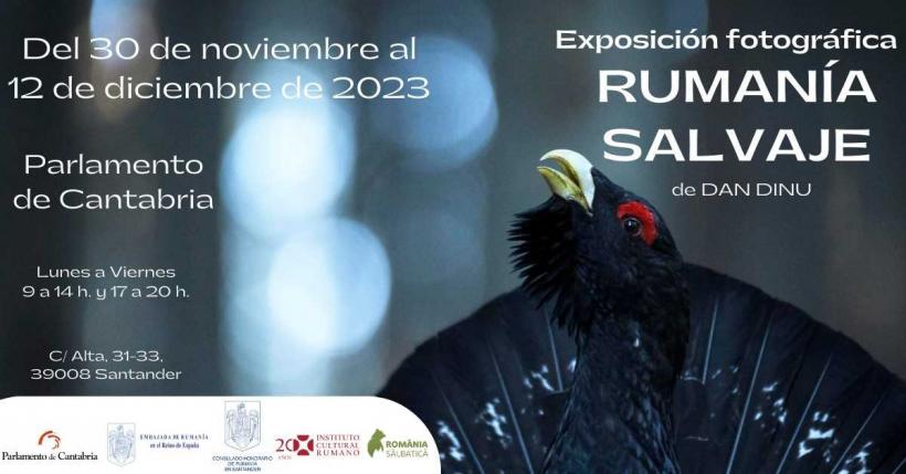 Peste 30 de evenimente organizate de Institutul Cultural Român cu ocazia Zilei Naționale a României 18872644