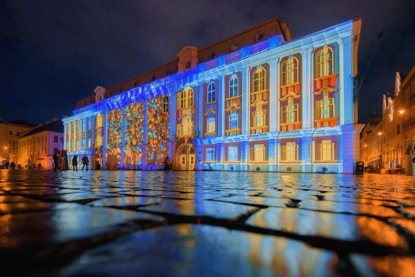 Timișoara 2023 continuă! 18872678