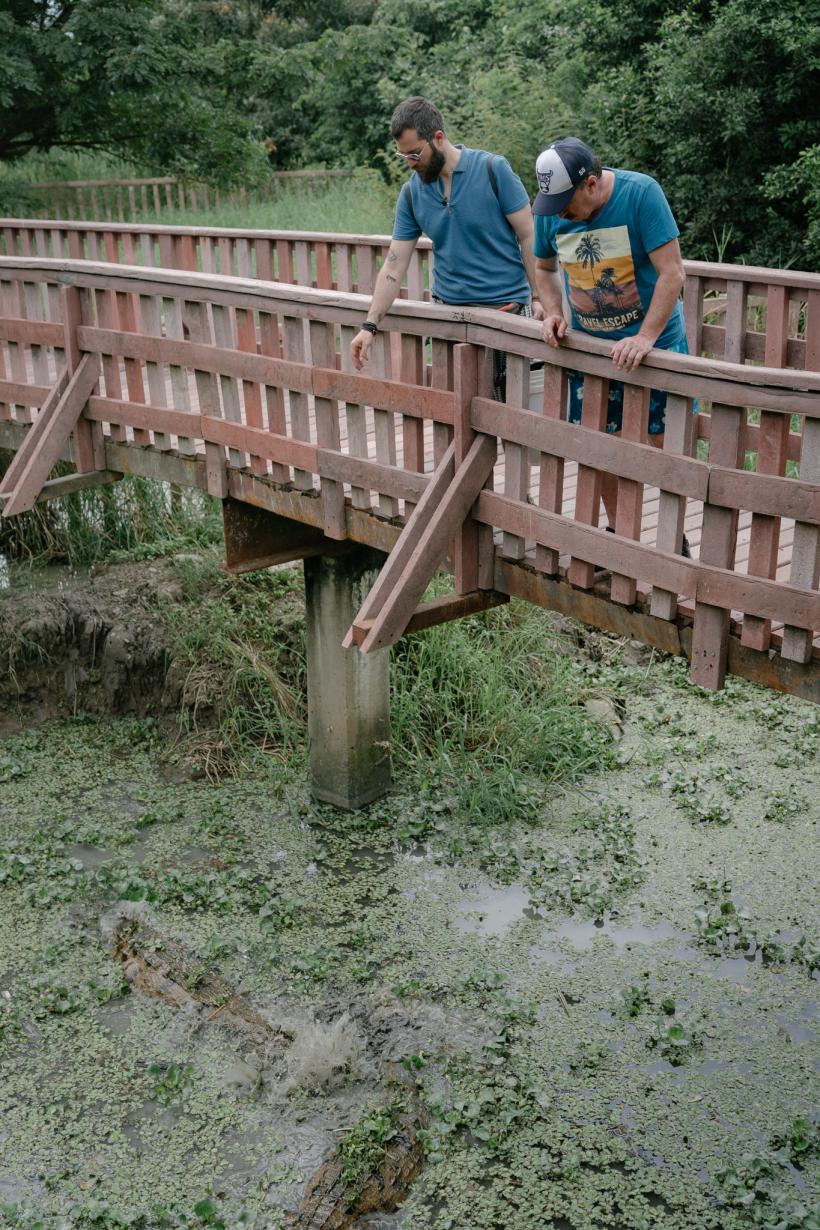 America Express, lider de audiență  Romică și Cătălin Țociu, salvați aseară de soarele verde de la eliminare 18873016